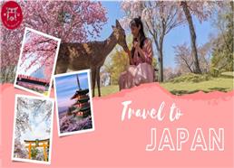 Tour Du Lịch Nhật Bản Mùa Hoa Anh Đào Sakura 2023